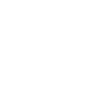 Chinnock Housing